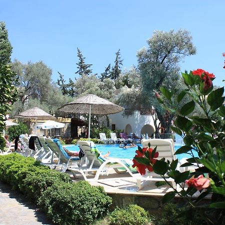 Toloman Bitezpark Apartments Bodrum Exteriör bild