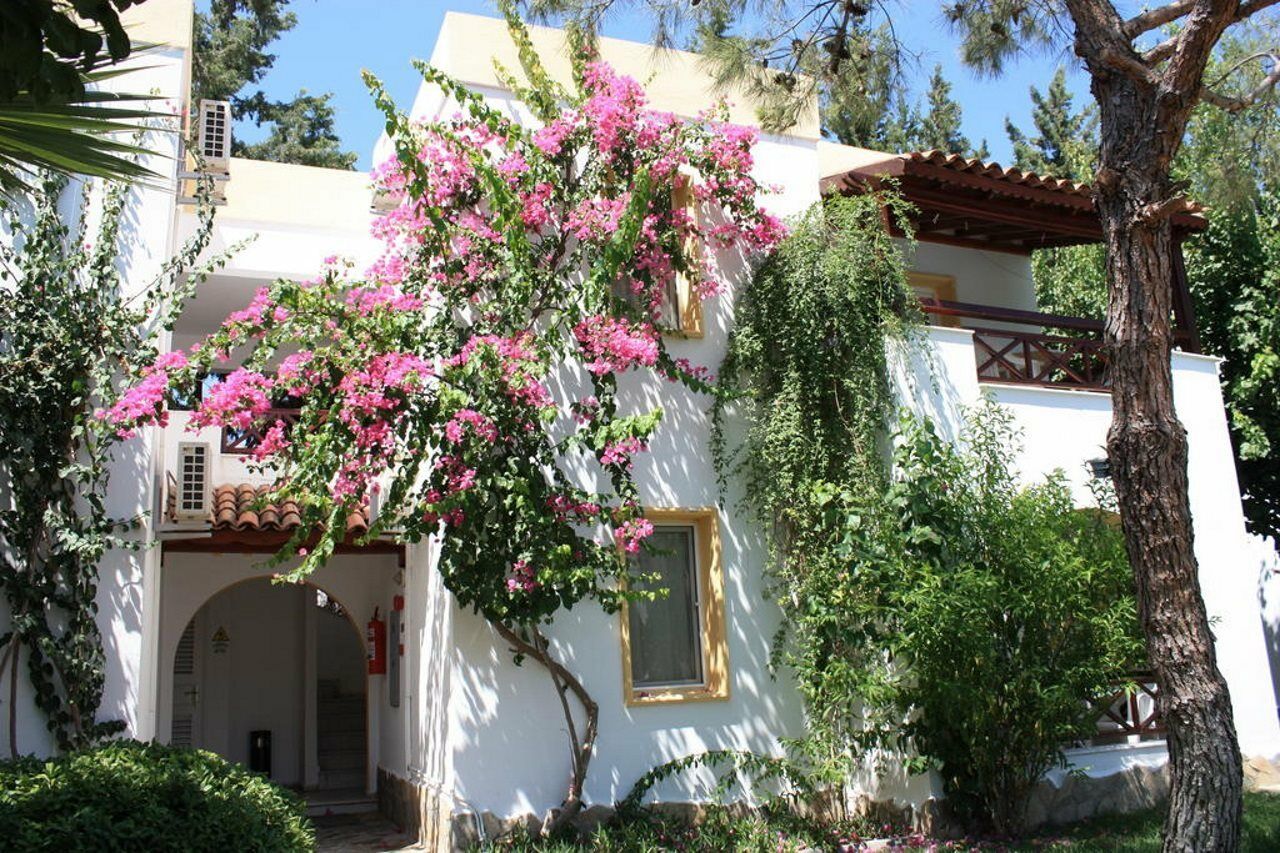 Toloman Bitezpark Apartments Bodrum Exteriör bild